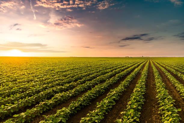 A Importância do Cadastro Ambiental Rural no Planejamento Orçamentário